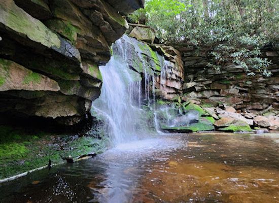 west-virginia/allegheny-highlands/landmark/elakala-falls-trail