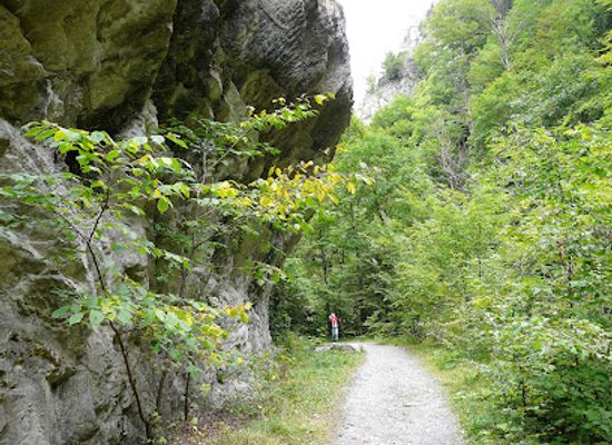 romania/vrancea/landmark/cheile-tisitei