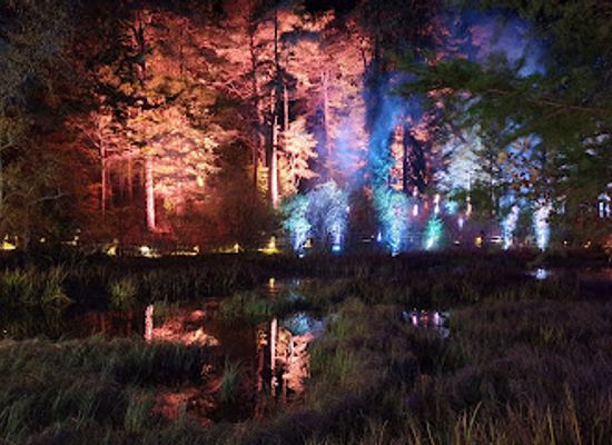 united-kingdom/perthshire/attraction/the-enchanted-forest-pitlochry-2