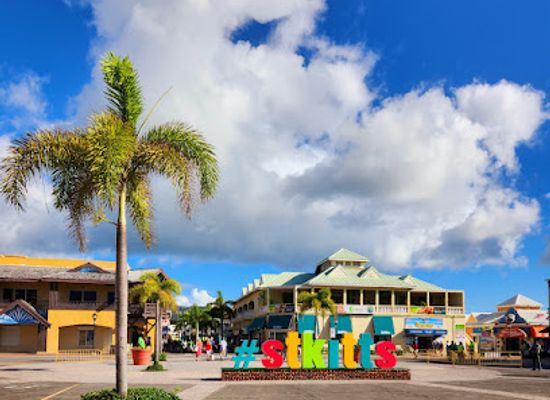 saint-kitts-and-nevis/saint-john-capisterre-parish/landmark/adonis-tour-beach-from-porte-zante