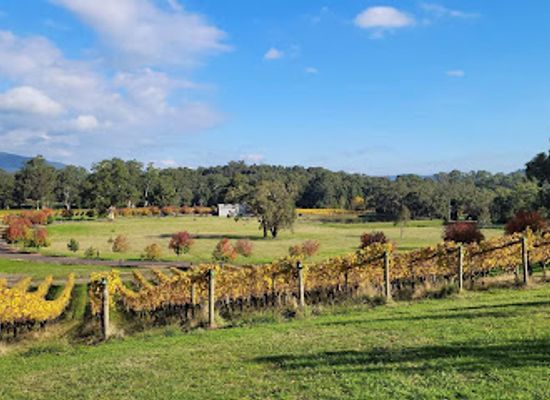 australia/yarra-valley/landmark/2-boat-o-craigo-yarra-valley-winery-cellar-door-restaurant-functions