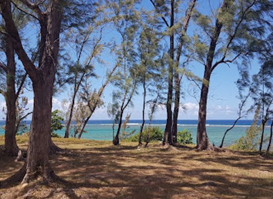mauritius/ile-aux-cerfs/landmark/la-vanille-nature-park