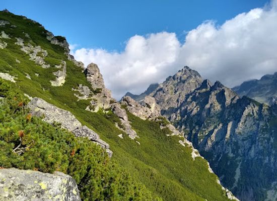 slovakia/dolina/landmark/slavkovska-dolina