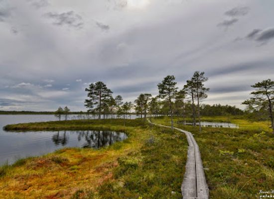 finland/archipelago-national-park/landmark/kauhaneva-pohjankangas-national-park