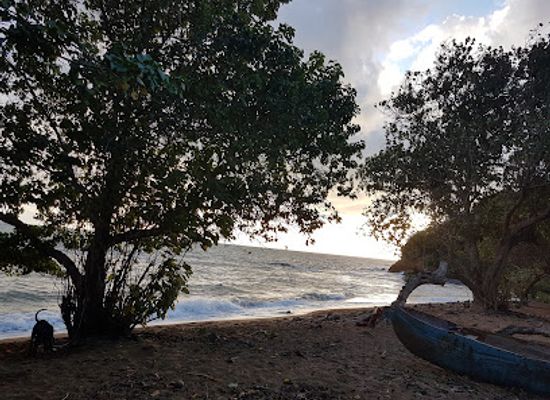 mayotte/tsingoni/landmark/tsingoni-plage