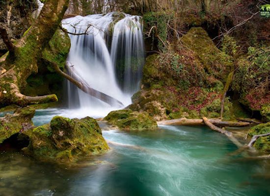 romania/cheile-nerei-national-park/landmark/trasee-turistice-organizate-cheile-nerei-beusnita