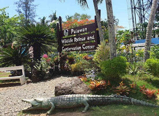 philippines/mimaropa/landmark/palawan-wildlife-rescue-and-conservation-center-crocodile-farm