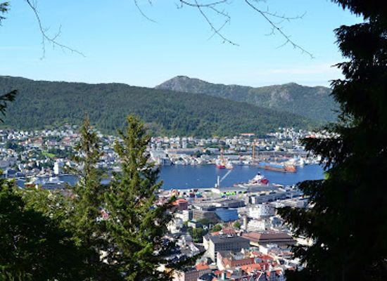 norway/bergen/landmark/norges-storste-tre