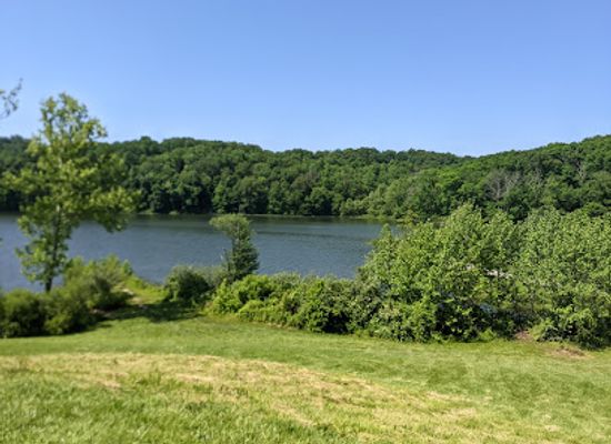 indiana/brown-county-state-park/landmark/yellowwood-state-forest
