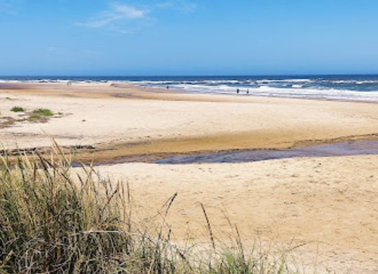 uruguay/rocha-coast/landmark/playa-anaconda