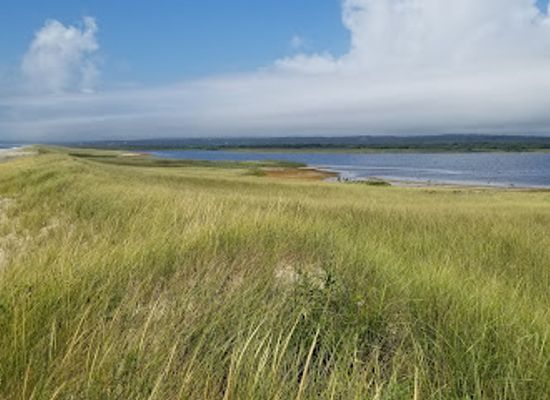 massachusetts/martha-s-vineyard/landmark/long-point-beach