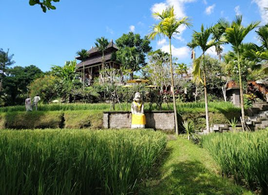 indonesia/ubud/landmark/agung-rai-museum-of-art