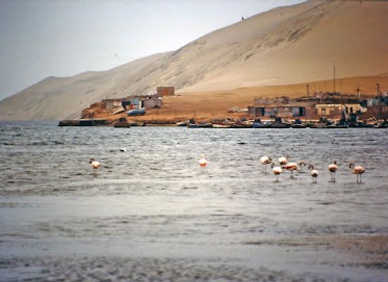 peru/paracas-national-reserve/landmark/salinas-de-otuma