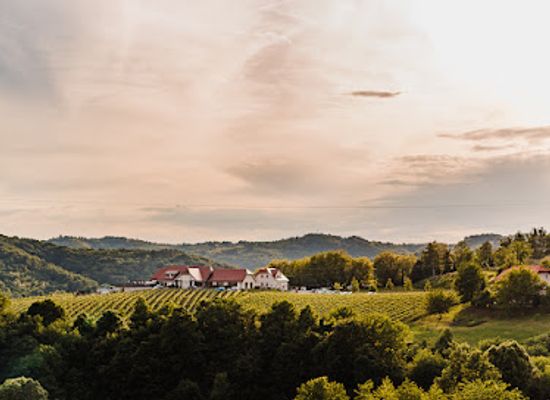 slovenia/posavje/landmark/tri-lucke-hotel-restaurant