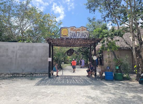 mexico/cozumel/landmark/mayan-bee-sanctuary
