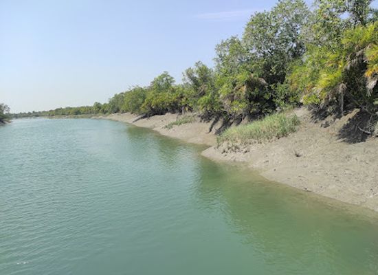 india/sundarbans/landmark/netidhopani-watch-tower