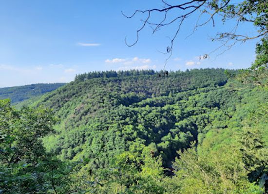 germany/hunsruck/landmark/traumschleife-baybachklamm