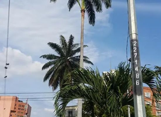 colombia/cali/el-penon/landmark/el-penon-park