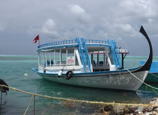 maldives/maafushi/landmark/kaani-dive-club