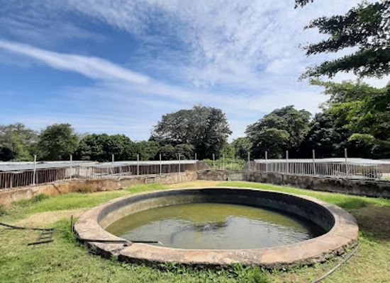 ethiopia/turmi/landmark/arba-minch-crocodile-ranch