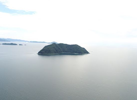 japan/shikoku/landmark/kuroshima-island