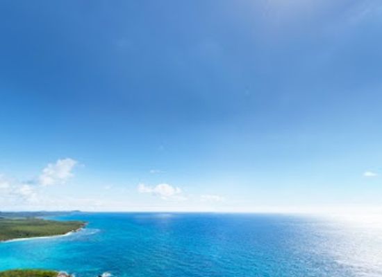 puerto-rico/vieques-island/landmark/mosquito-bay-beach