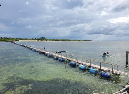 philippines/visayas/landmark/san-vicente-marine-sanctuary