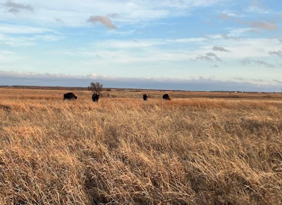 oklahoma/prairie-plains/landmark/joseph-h-williams-tallgrass-prairie-preserve