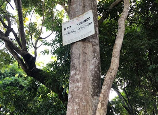 kenya/diani-beach/landmark/kaya-kinondo-sacred-forest
