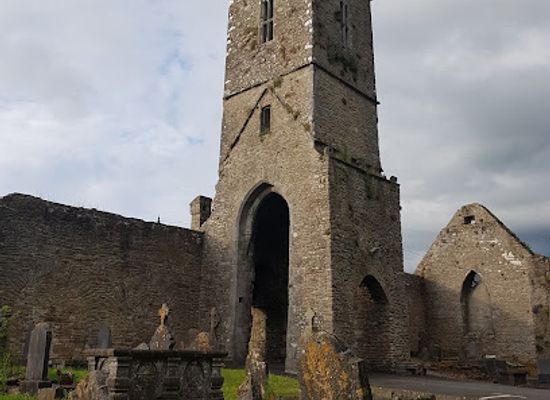 ireland/county-tipperary/landmark/roscrea-abbey