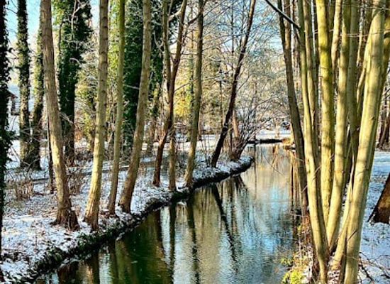 germany/spreewald/landmark/burg-lubbener-kanal-rohrkanal