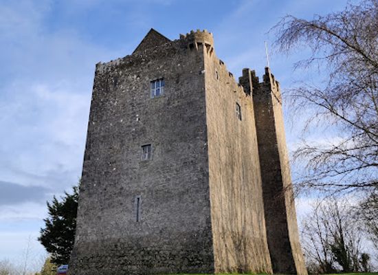 ireland/county-tipperary/landmark/redwood-castle
