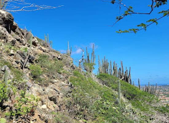 aruba/arikok-national-park/landmark/hooiberg-lookout