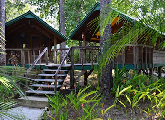 belize/orange-walk-district/landmark/tropical-education-center-zoo-lodge