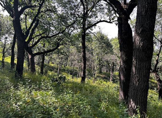 indiana/the-dunes/landmark/indiana-dunes-national-park-tolleston-dunes