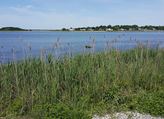 rhode-island/east-bay/landmark/claire-d-mcintosh-wildlife-refuge