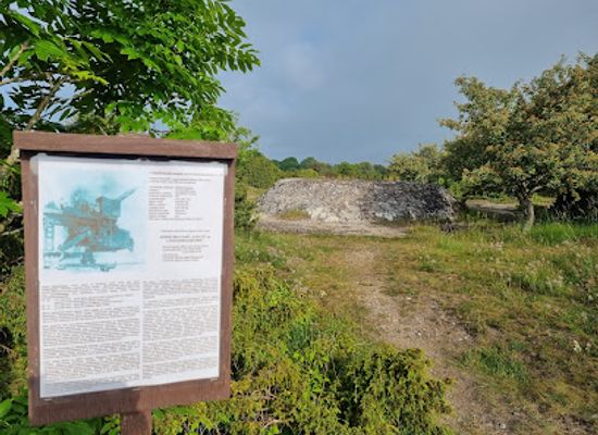 estonia/saaremaa/landmark/geschutzstellung-sorve