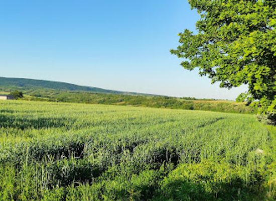 serbia/fruska-gora-national-park/landmark/novo-hopovo-monastery