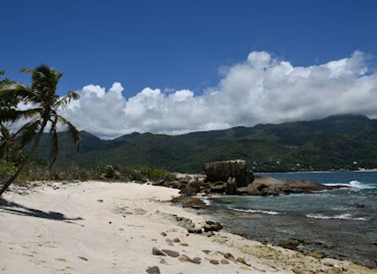 seychelles/port-glaud/landmark/snorkeling-in-therese