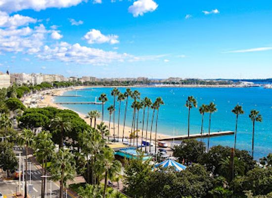 france/cannes/la-croisette/landmark/la-croisette-cannes