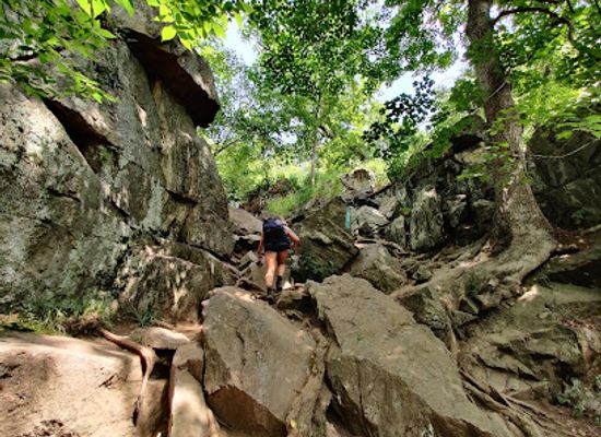 maryland/billy-goat-trail/landmark/billy-goat-trail-section-a-east-end-trailhead
