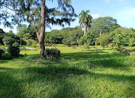 trinidad-and-tobago/st-george-east/landmark/queen-s-park-savannah