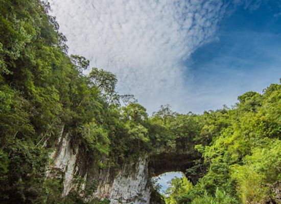 belize/mountain-pine-ridge/landmark/chiquibul-national-park