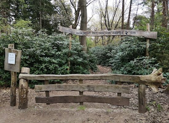 netherlands/sallandse-heuvelrug-national-park/landmark/bos-van-daantje-das