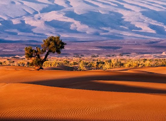 morocco/sahara-desert/landmark/morocco-sahara-trips