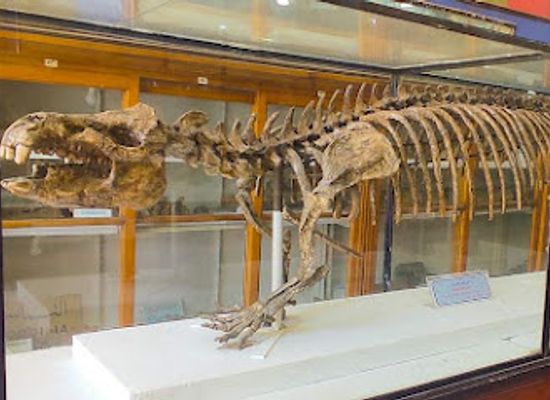 egypt/lower-egypt/landmark/egyptian-geology-museum
