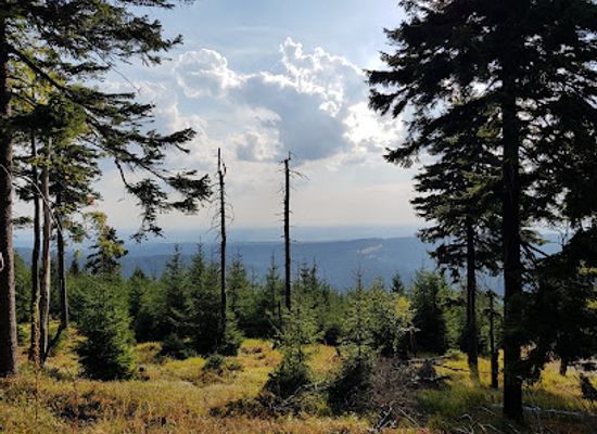 czechia/east-bohemia/landmark/chko-orlicke-hory