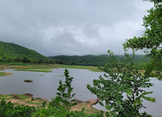 india/gujarat/landmark/ratanmahal-sloth-bear-sanctuary