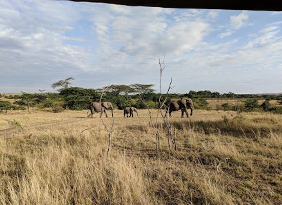 kenya/loita-plains/landmark/olare-orok-conservancy