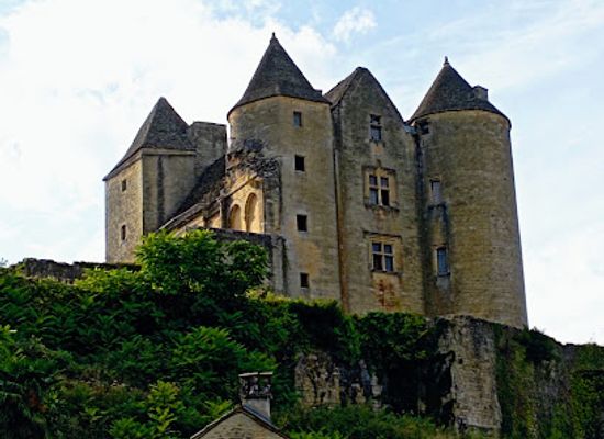 france/périgord-noir/landmark/chateau-de-salignac